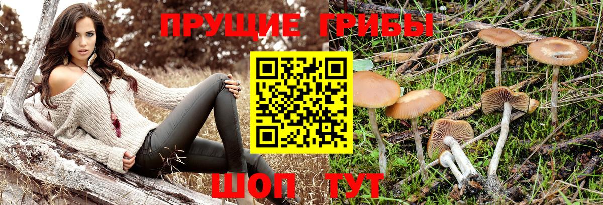 Галлюциногенные грибы Cubensis  закладка  Тула  Вход с VPN 